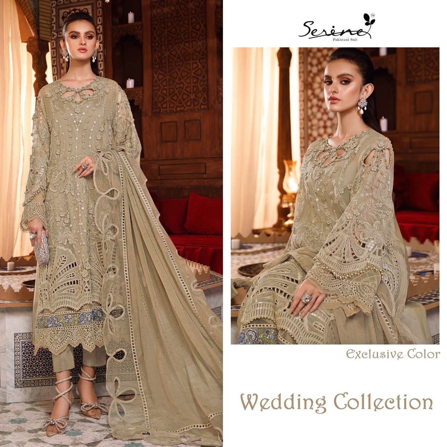 Serene Pakistani Designer Super Hit Wedding & Party Wear Suit